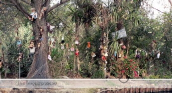 Dolls Island