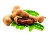 Siddha simple herbal health tips Tamarind Tamil