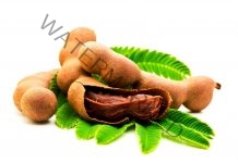 Siddha simple herbal health tips Tamarind Tamil
