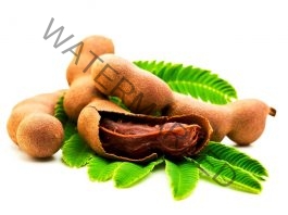 Siddha simple herbal health tips Tamarind Tamil