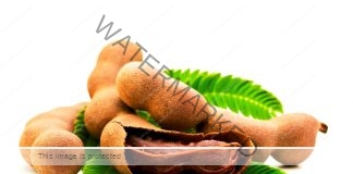 Siddha simple herbal health tips Tamarind Tamil